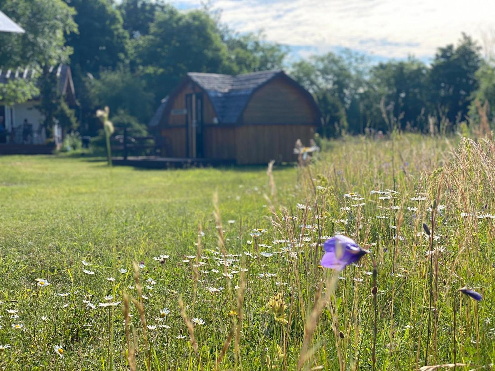 Kaespri Farmstay Koguva Exterior foto